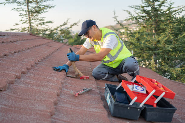 Best Rubber Roofing (EPDM, TPO)  in Clinton, WI